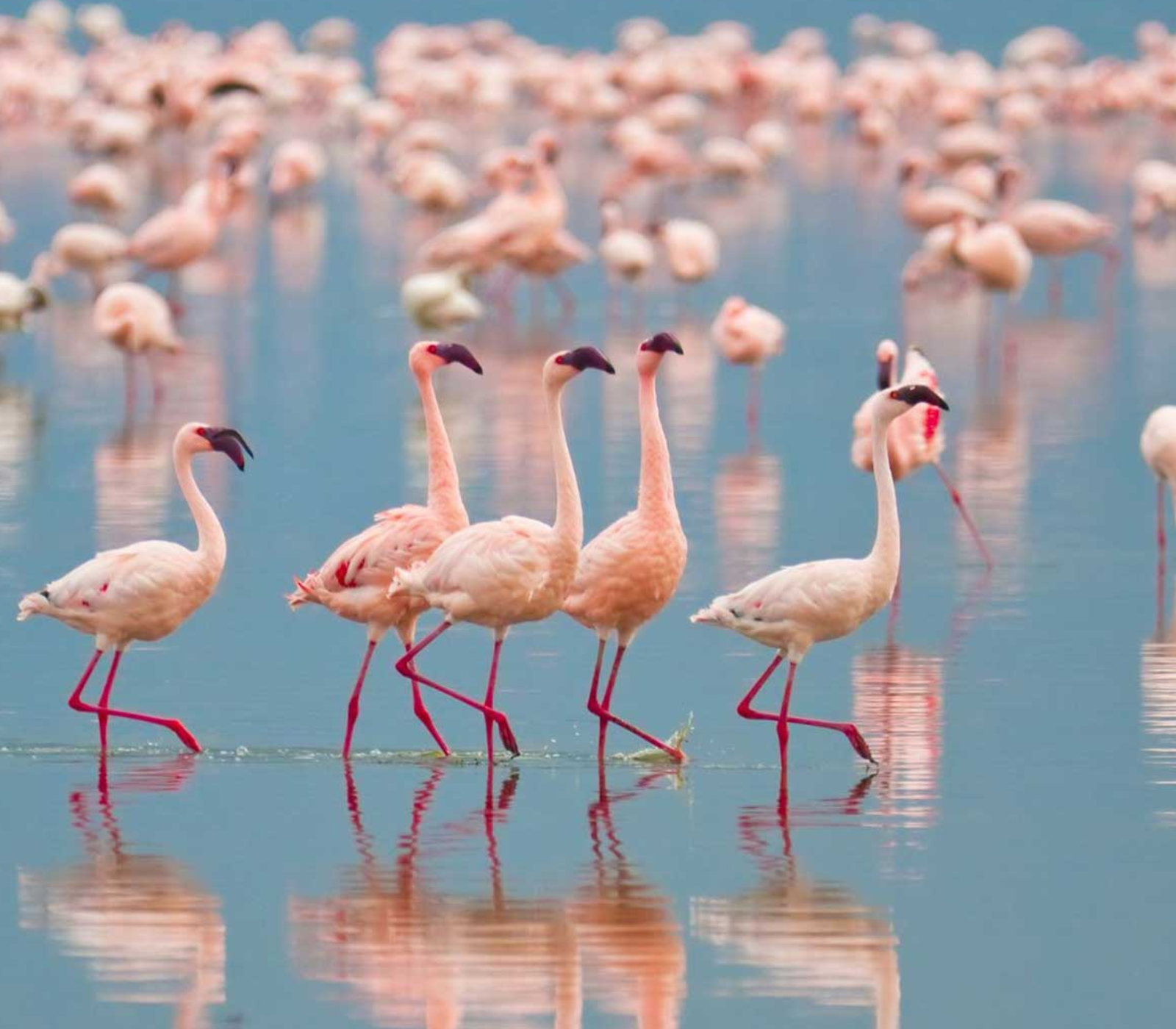 8 Days Private Safari From Nairobi To Masai Mara Attractions