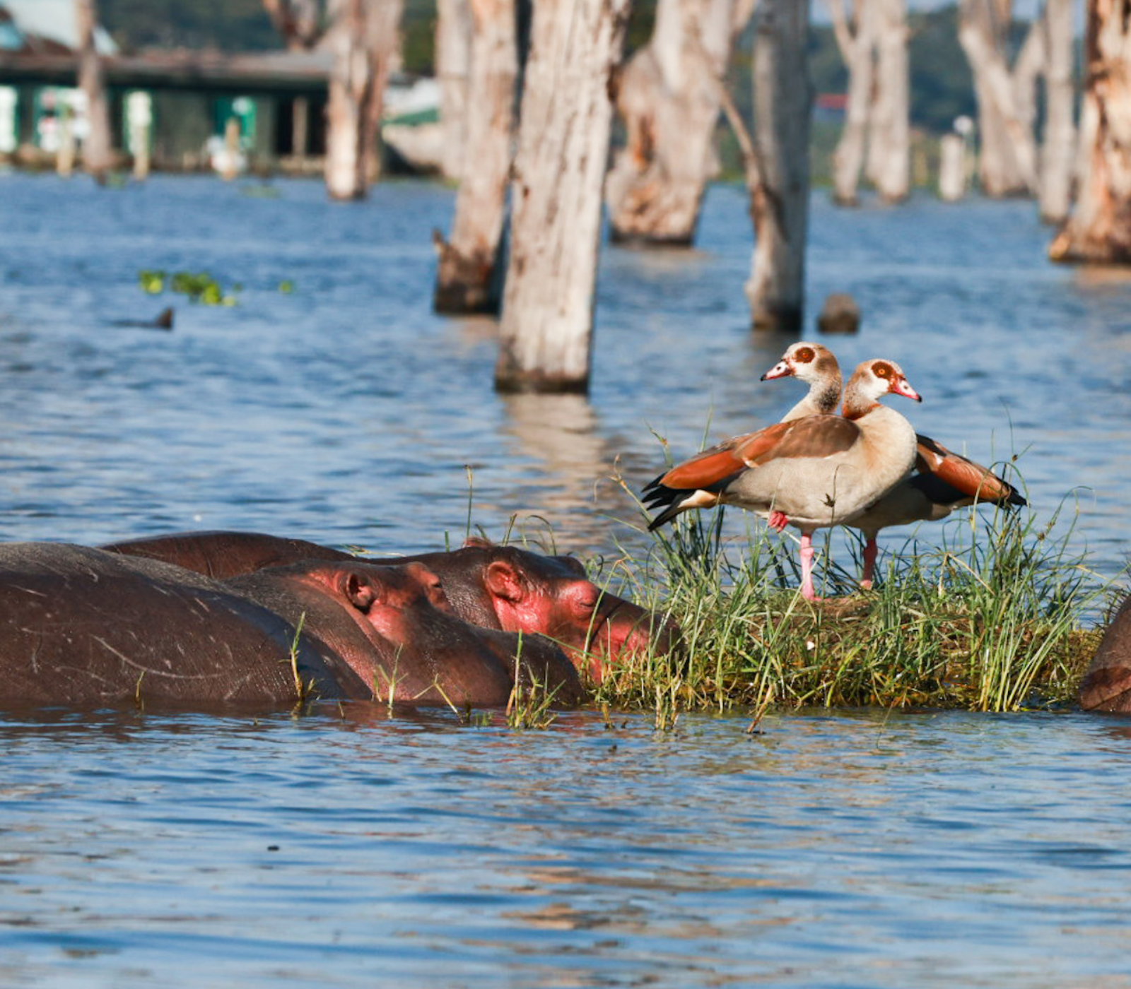 8 Days Private Safari From Nairobi To Masai Mara Attractions
