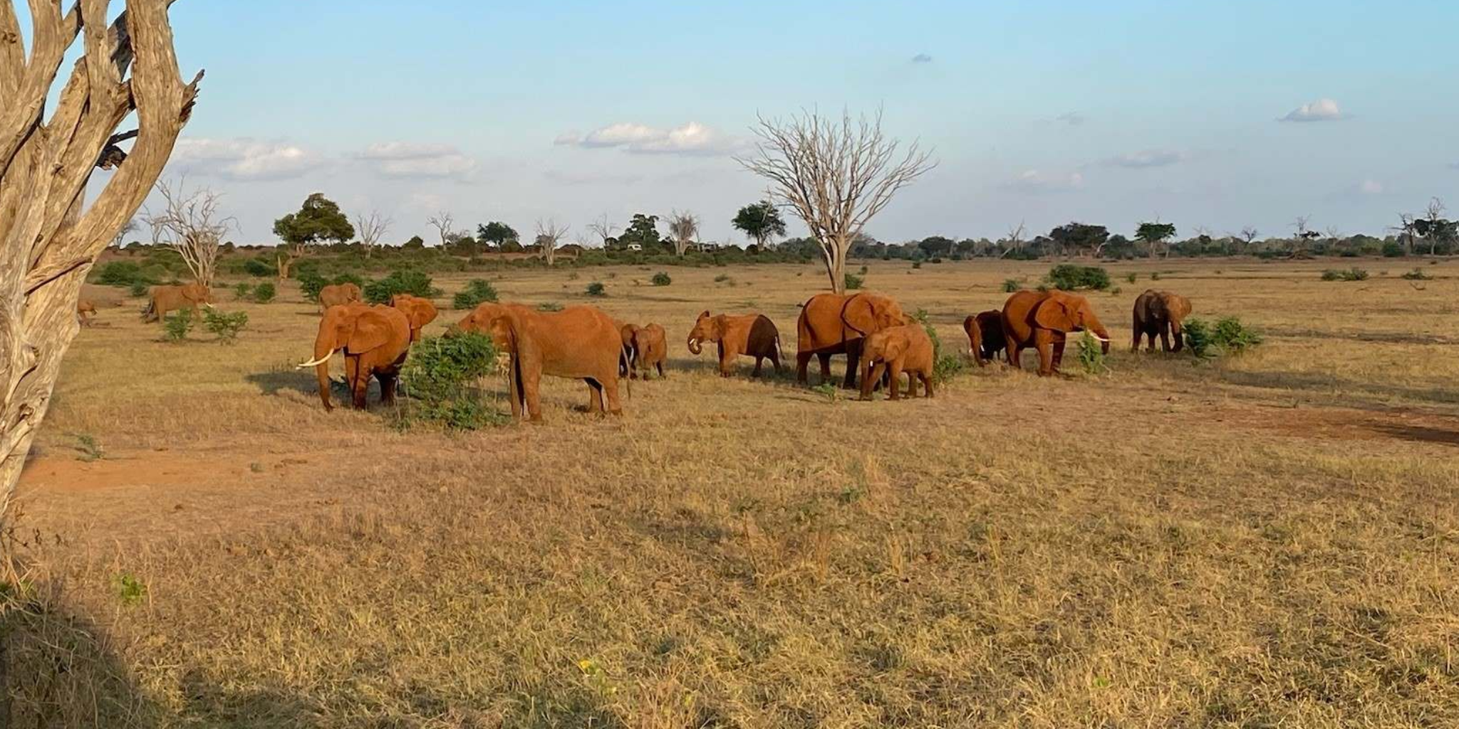 8 Days Private Safari From Nairobi To Masai Mara