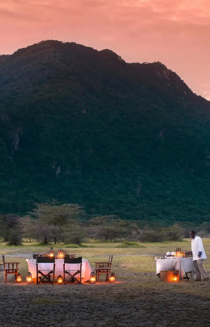 8 Days Tanzania Luxury Honeymoon Safari wildlife