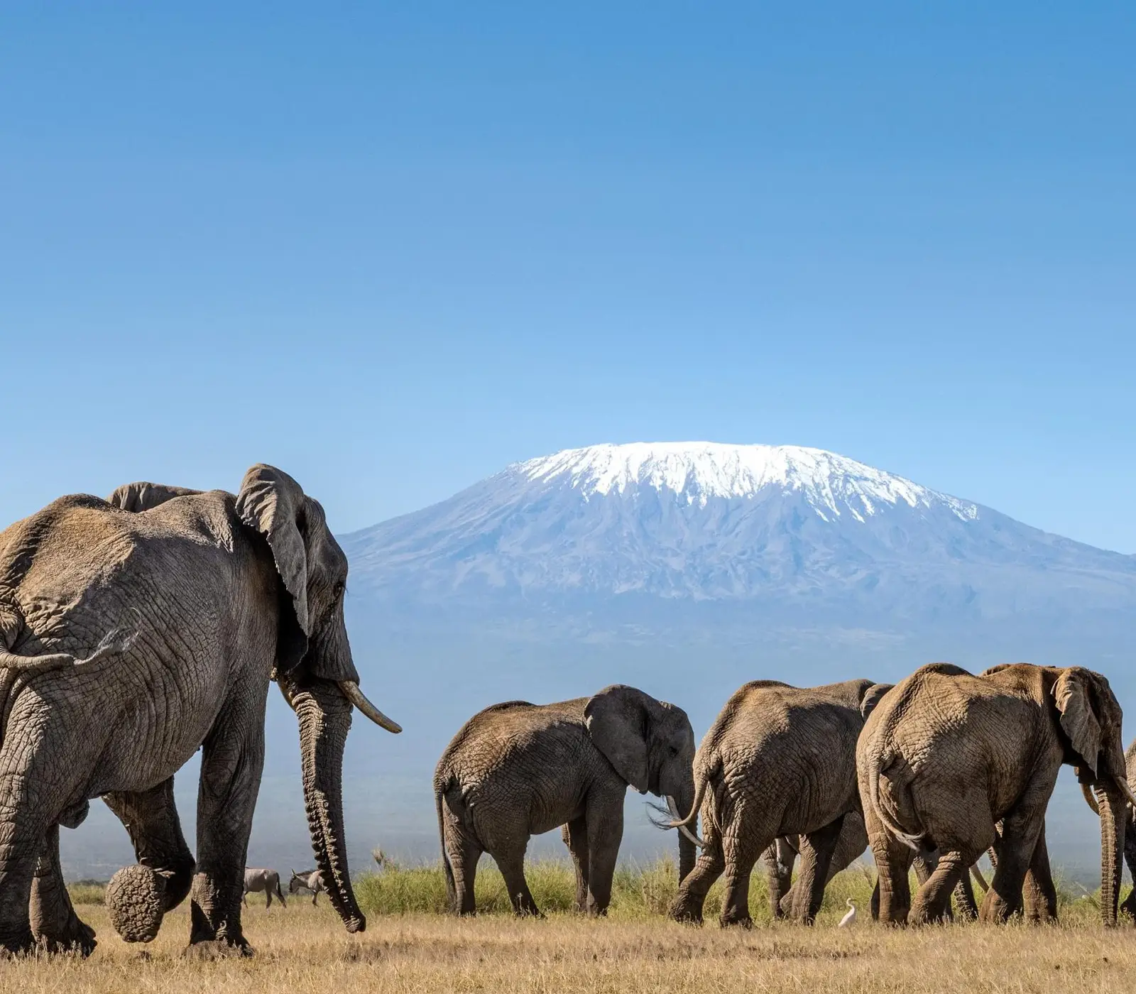 9 Days | 6 National Parks – Kenya Classic Safari Attractions