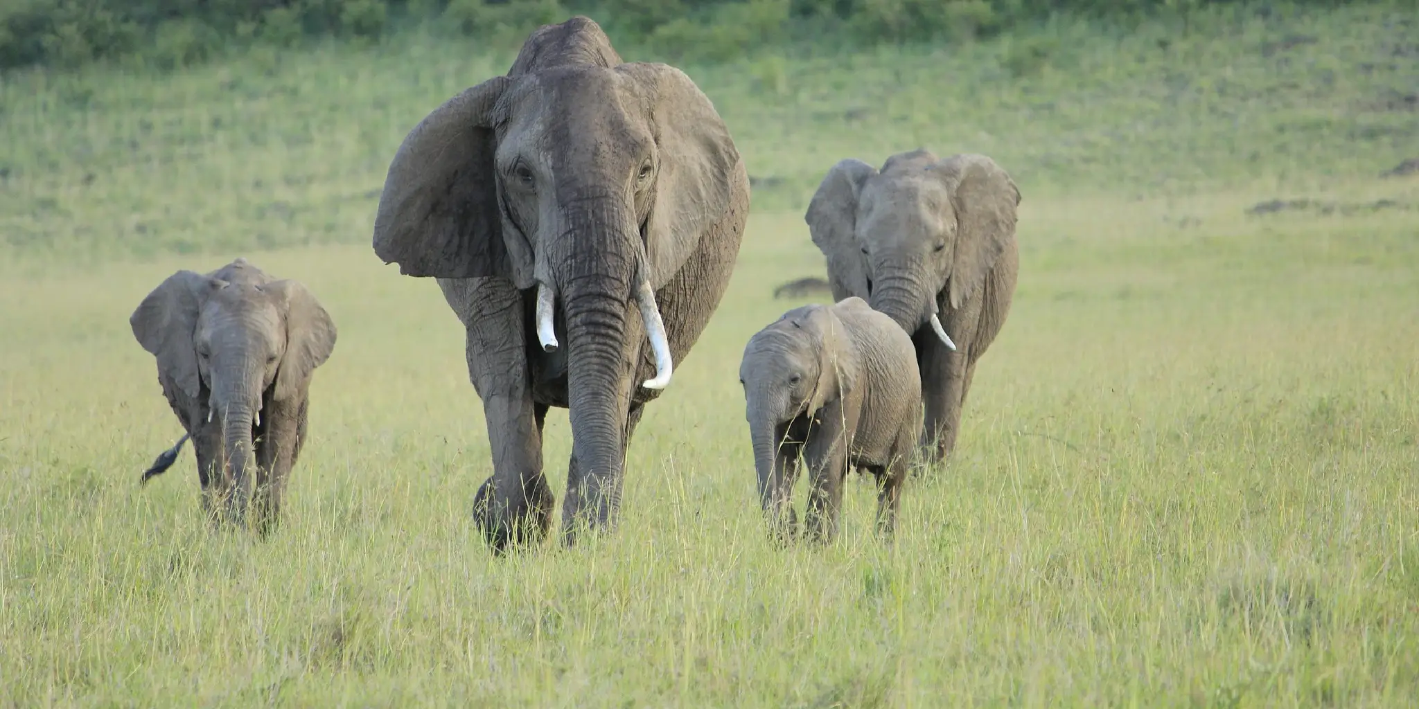 9 Days | 6 National Parks – Kenya Classic Safari