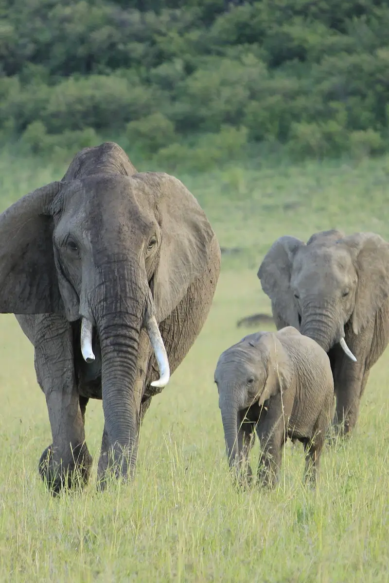 9 Days | 6 National Parks – Kenya Classic Safari