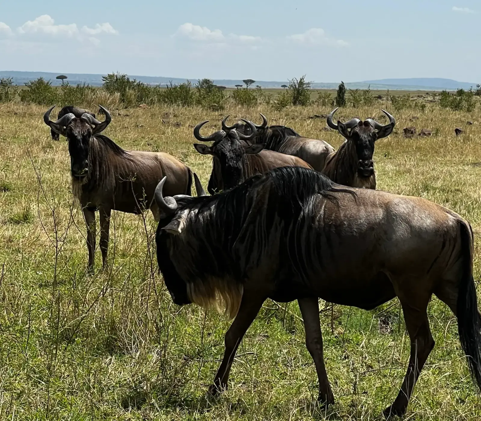 9 Days, 6 Parks – Nairobi To Kenya Beach Safari   Attractions