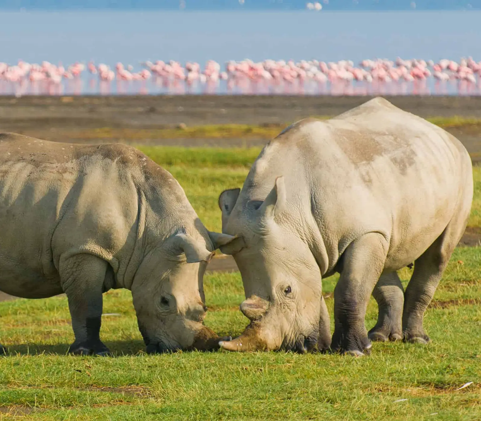 9 Days, 6 Parks – Nairobi To Kenya Beach Safari   Attractions