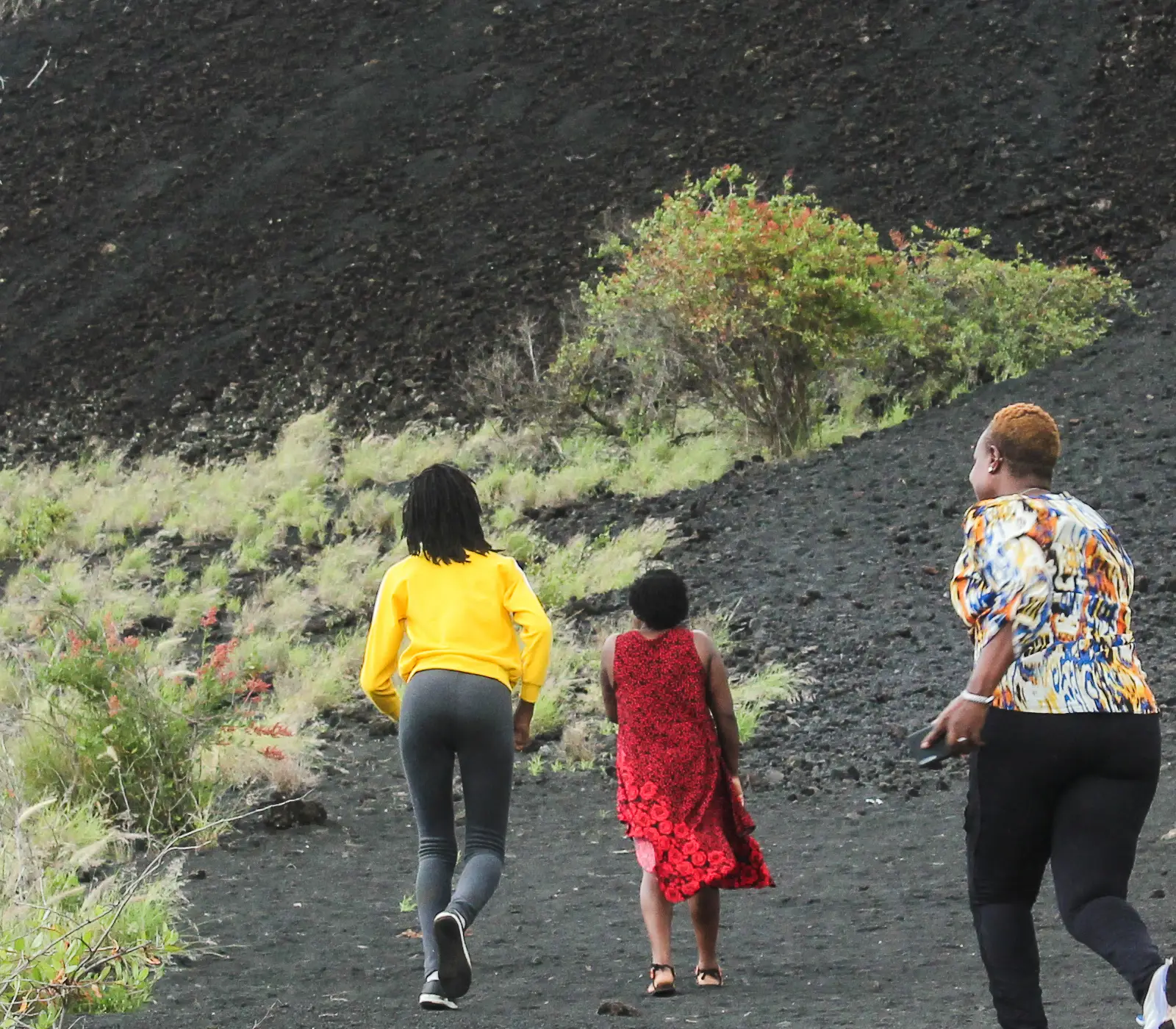 9 Days | 7 Parks – Kenya Beach To Nairobi Safari  Attractions