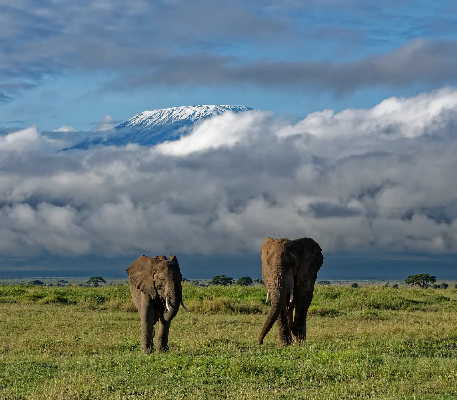 9 Days | 7 Parks – Kenya Beach To Nairobi Safari  Attractions