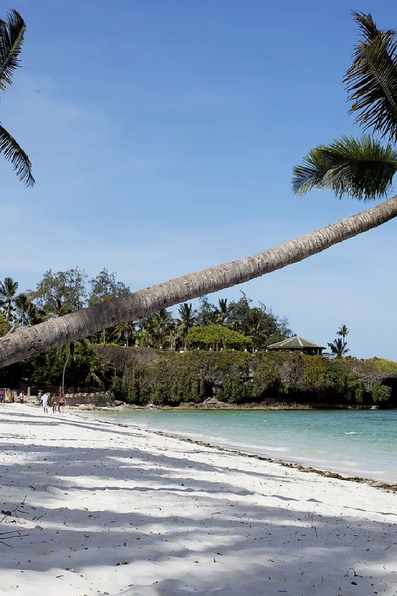 9 Days | 7 Parks – Kenya Beach To Nairobi Safari