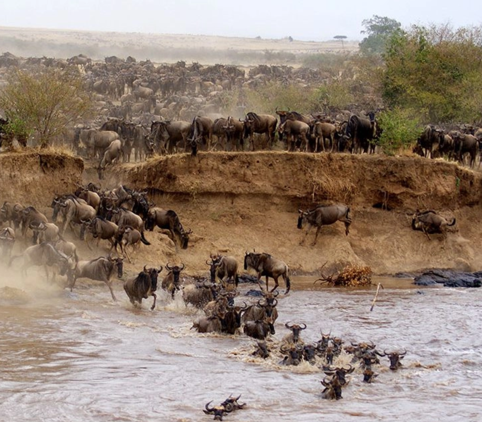 9 Days Jambo Kenya Classic  Safari Attractions