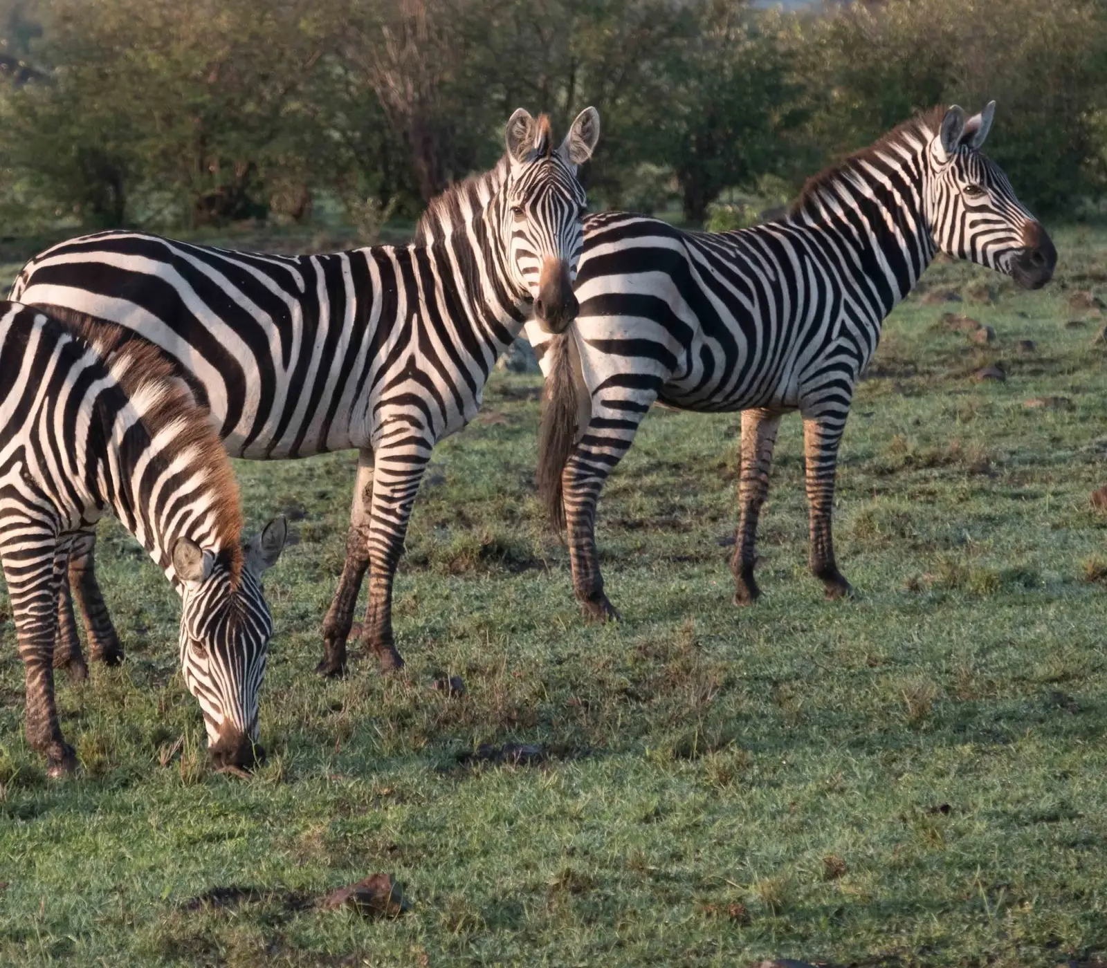 9-Days Jambo Kenya Safari Attractions