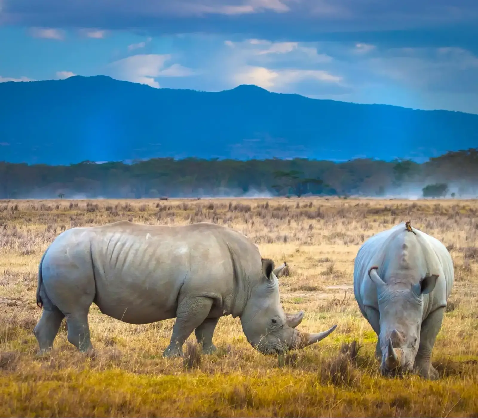 9-Days Jambo Kenya Safari Attractions