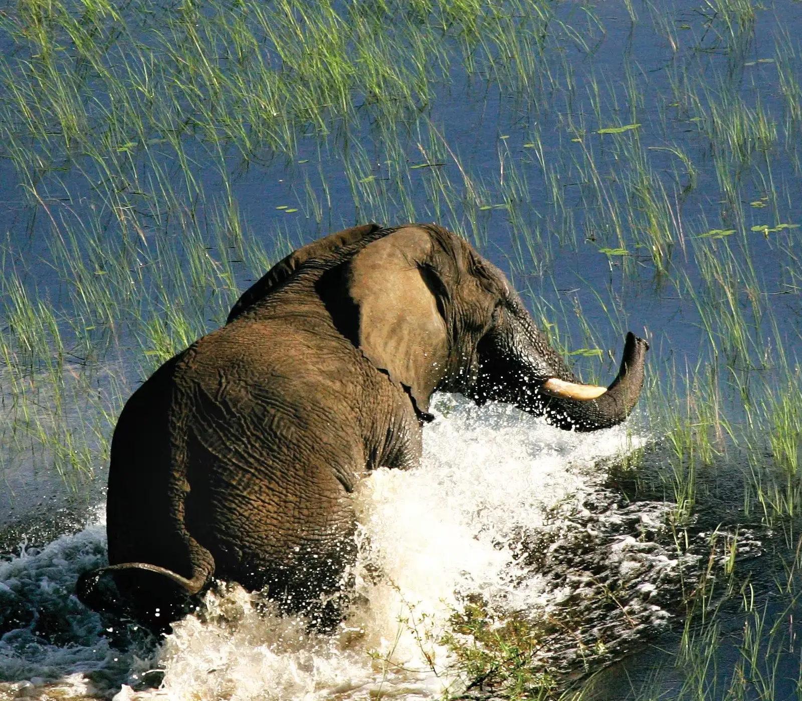 9-Days Kenya & Tanzania Absolute Safari Attractions