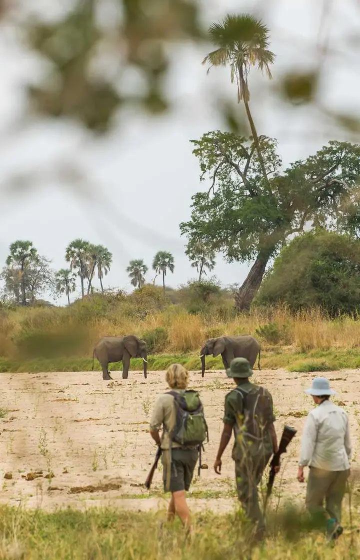 9-Days Kenya & Tanzania Absolute Safari Beaches