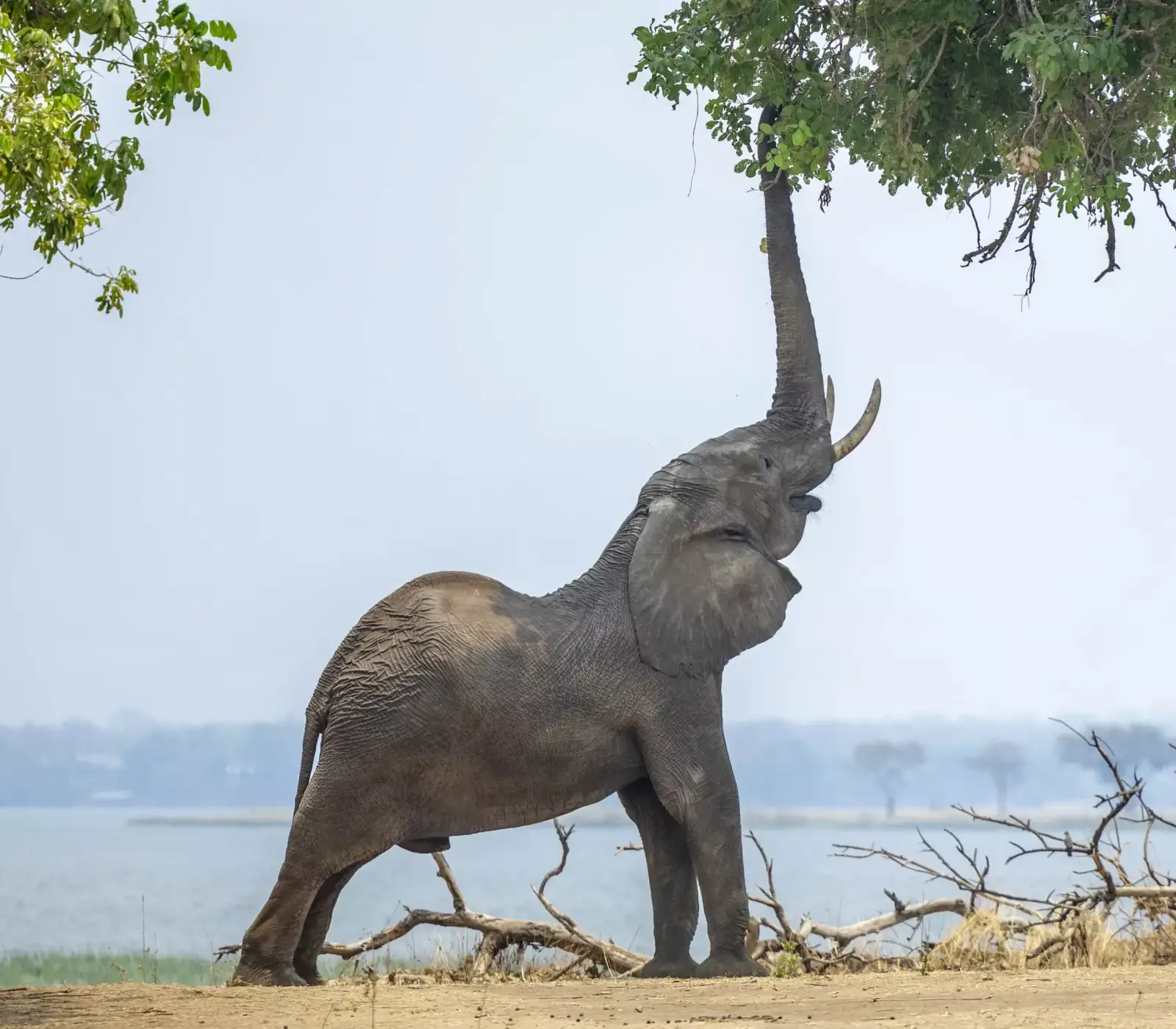 9-Days Kenya & Tanzania Absolute Safari Attractions