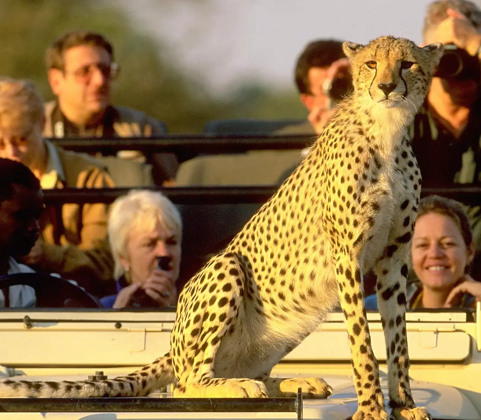 9-Days Kenya & Tanzania Absolute Safari Attractions