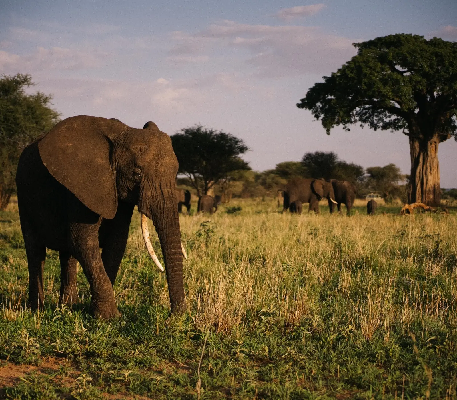 9-Days Kenya & Tanzania Absolute Safari Attractions