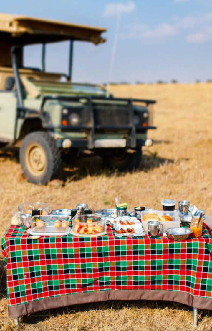 9 Days Kenya Beach To Nairobi Classic Safari  Game Drives