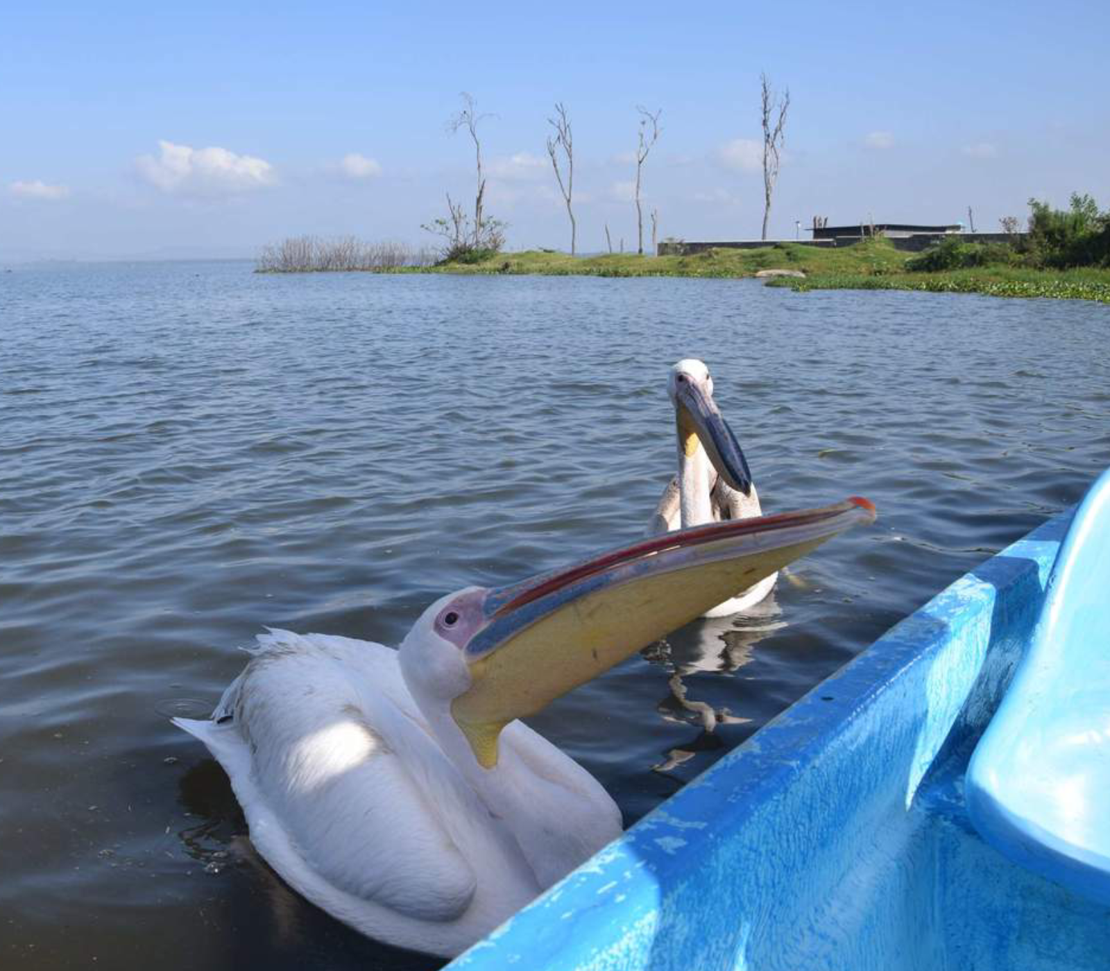 9 Days Kenya Beach To Nairobi Classic Safari  Attractions