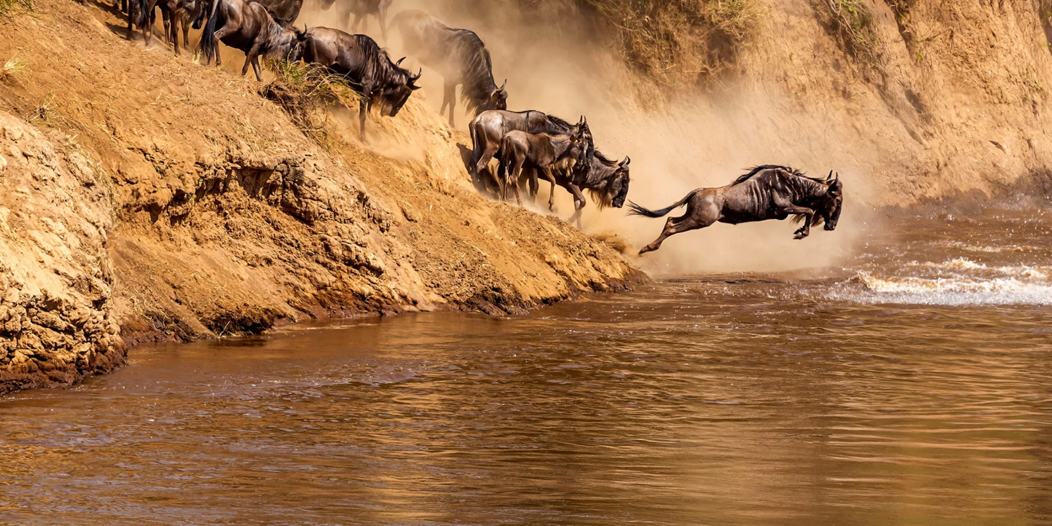 9 Days Kenya Beach To Nairobi Classic Safari 