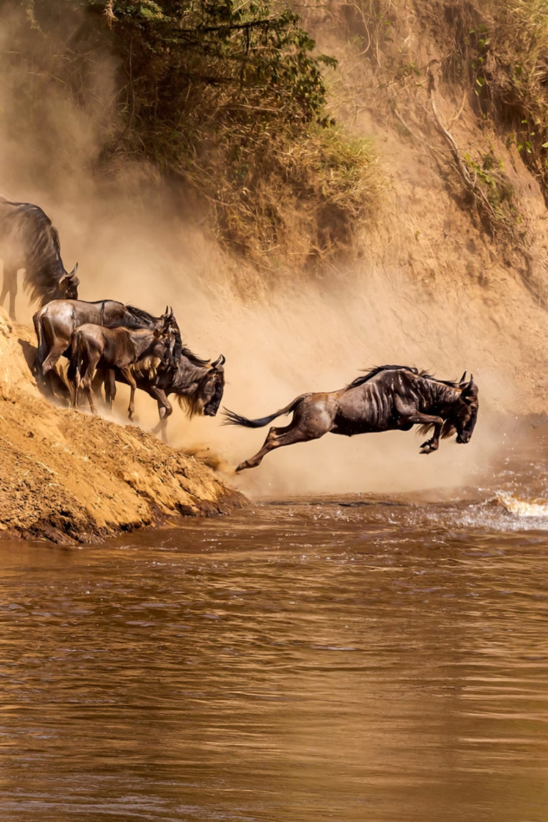 9 Days Kenya Beach To Nairobi Classic Safari