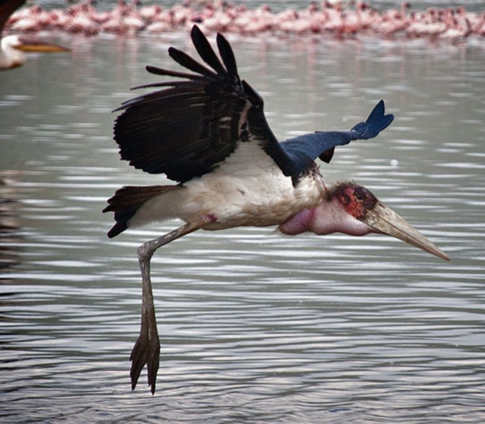 9-Days Kenya Beach To Nairobi Safari Attractions