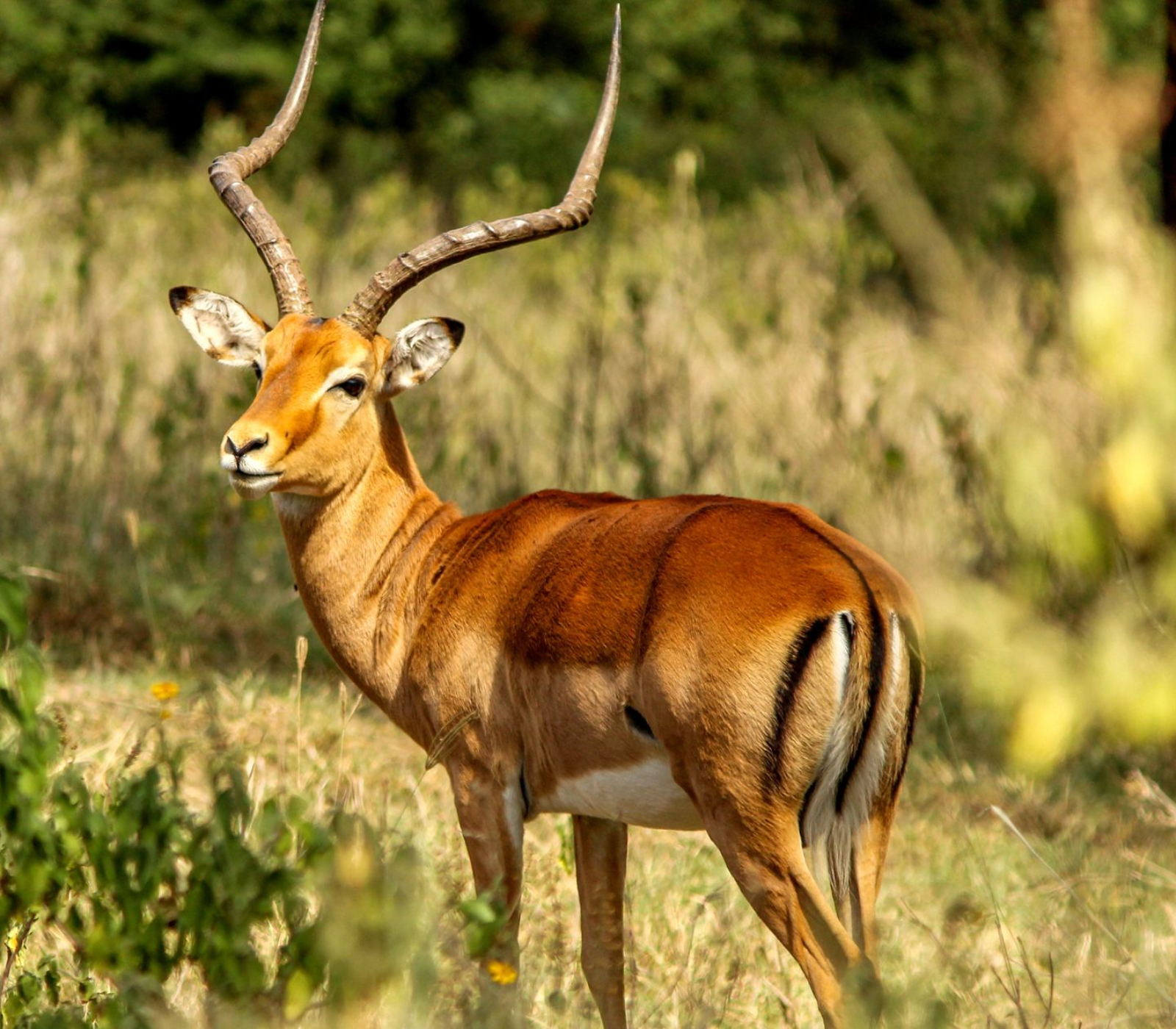 9-Days Kenya Beach To Nairobi Safari Attractions