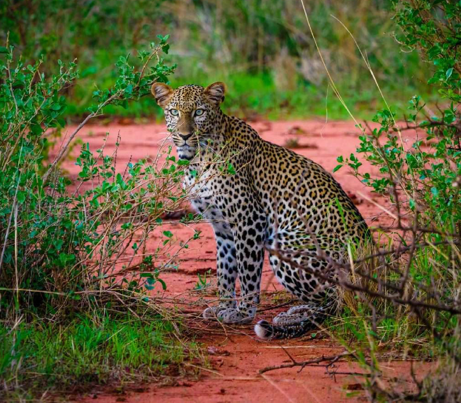 9 Days Kenya Classic Safari  Attractions