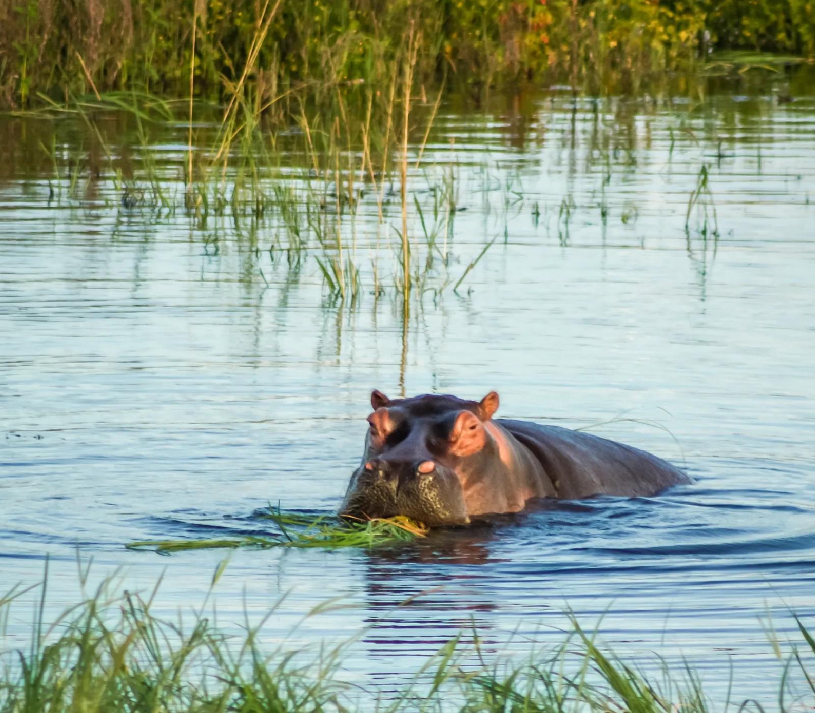 9 Days Kenya Classic Safari  Attractions