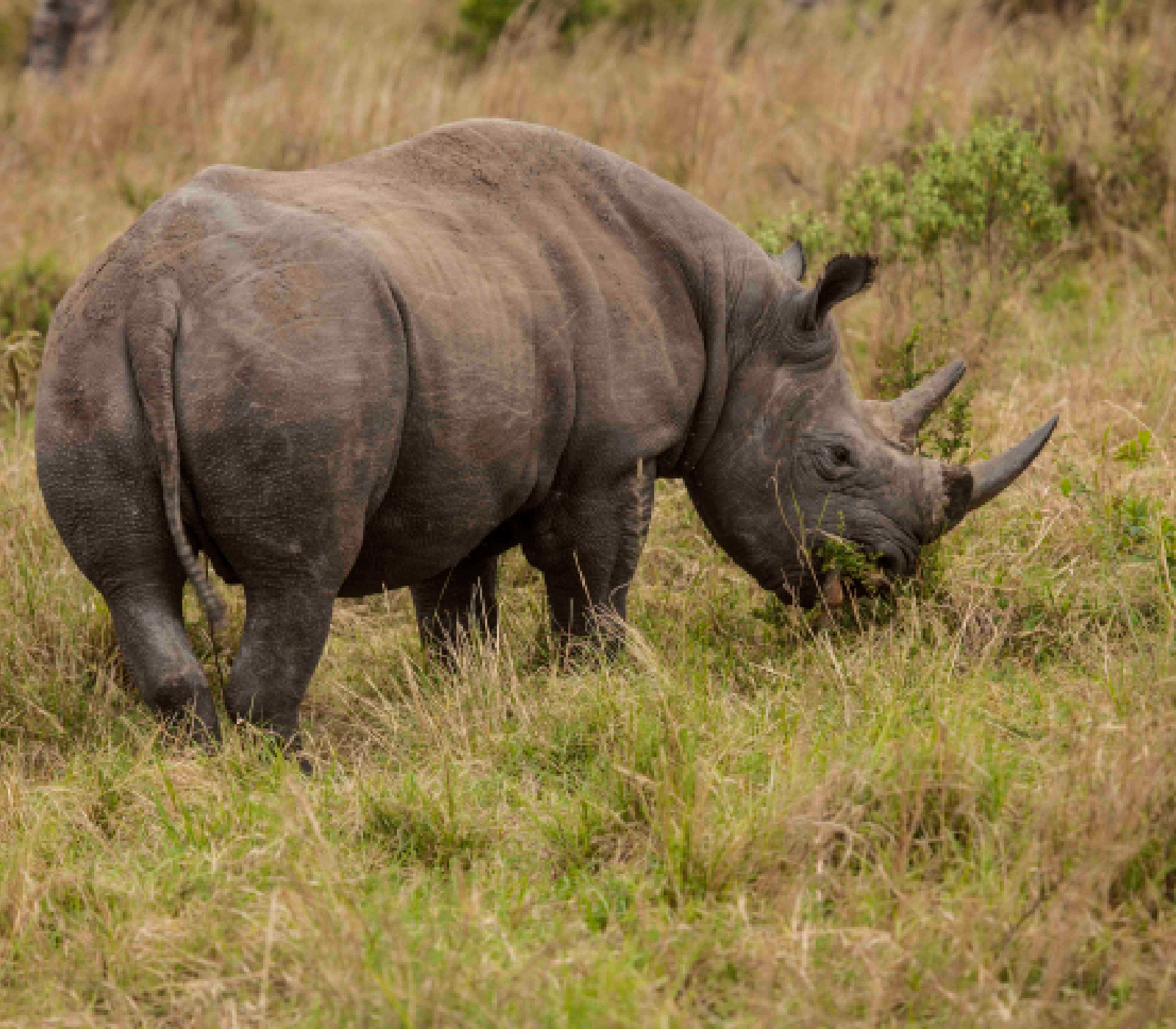 9 Days Kenya Classic Safari  Attractions