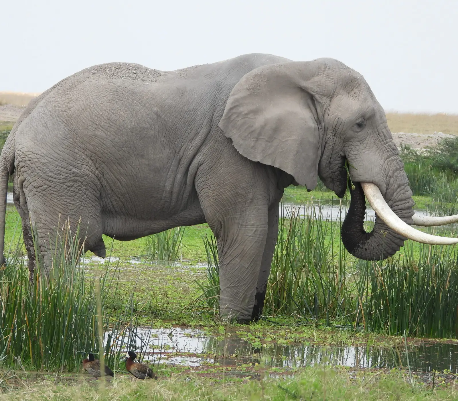 9 Days Kenya Classic Safari Adventure Attractions