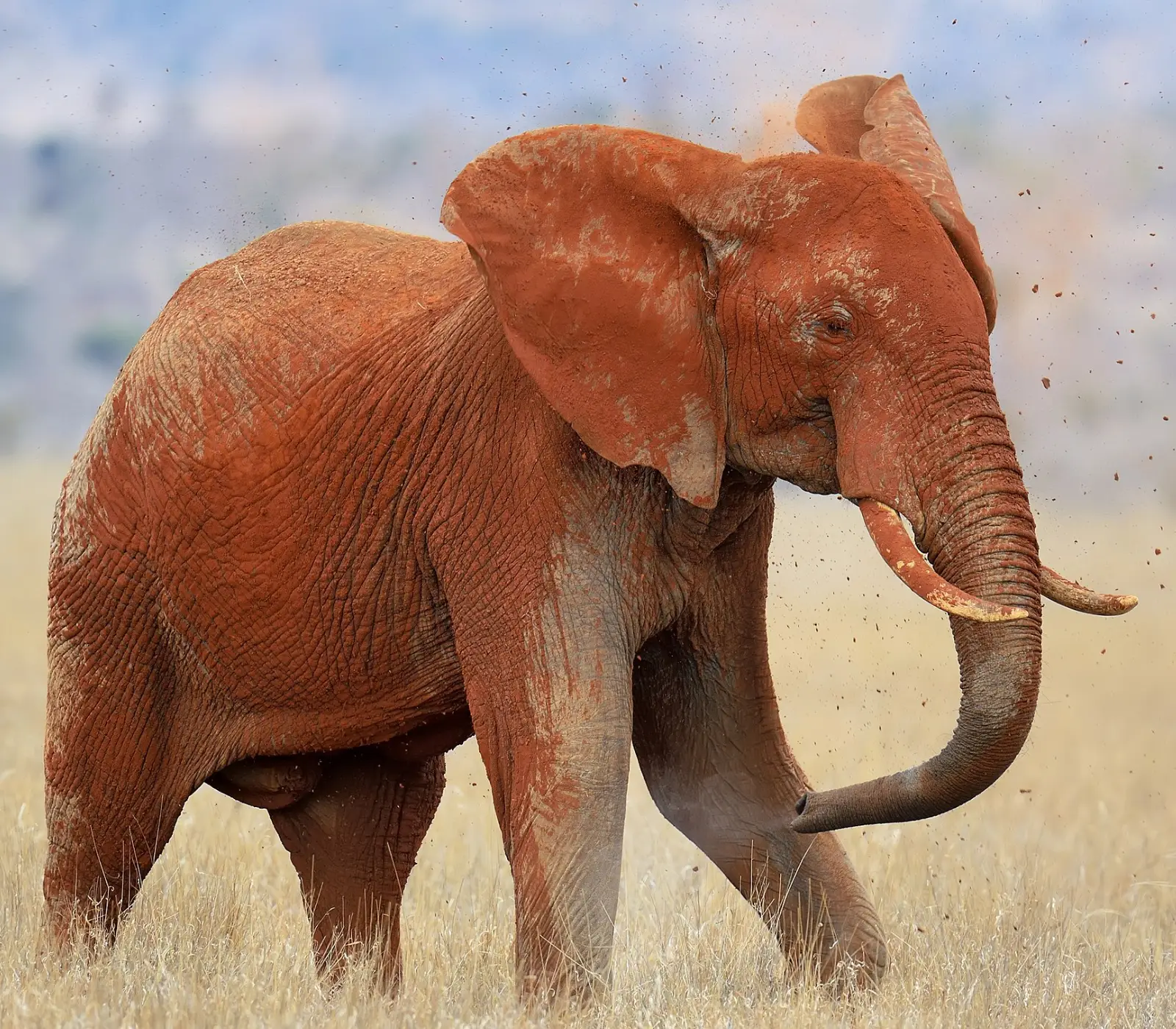 9 Days Kenya Classic Safari Adventure Attractions