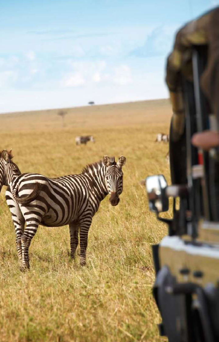 9-Days Kenya Classic Safari – Roundtrip From Nairobi Game Drives