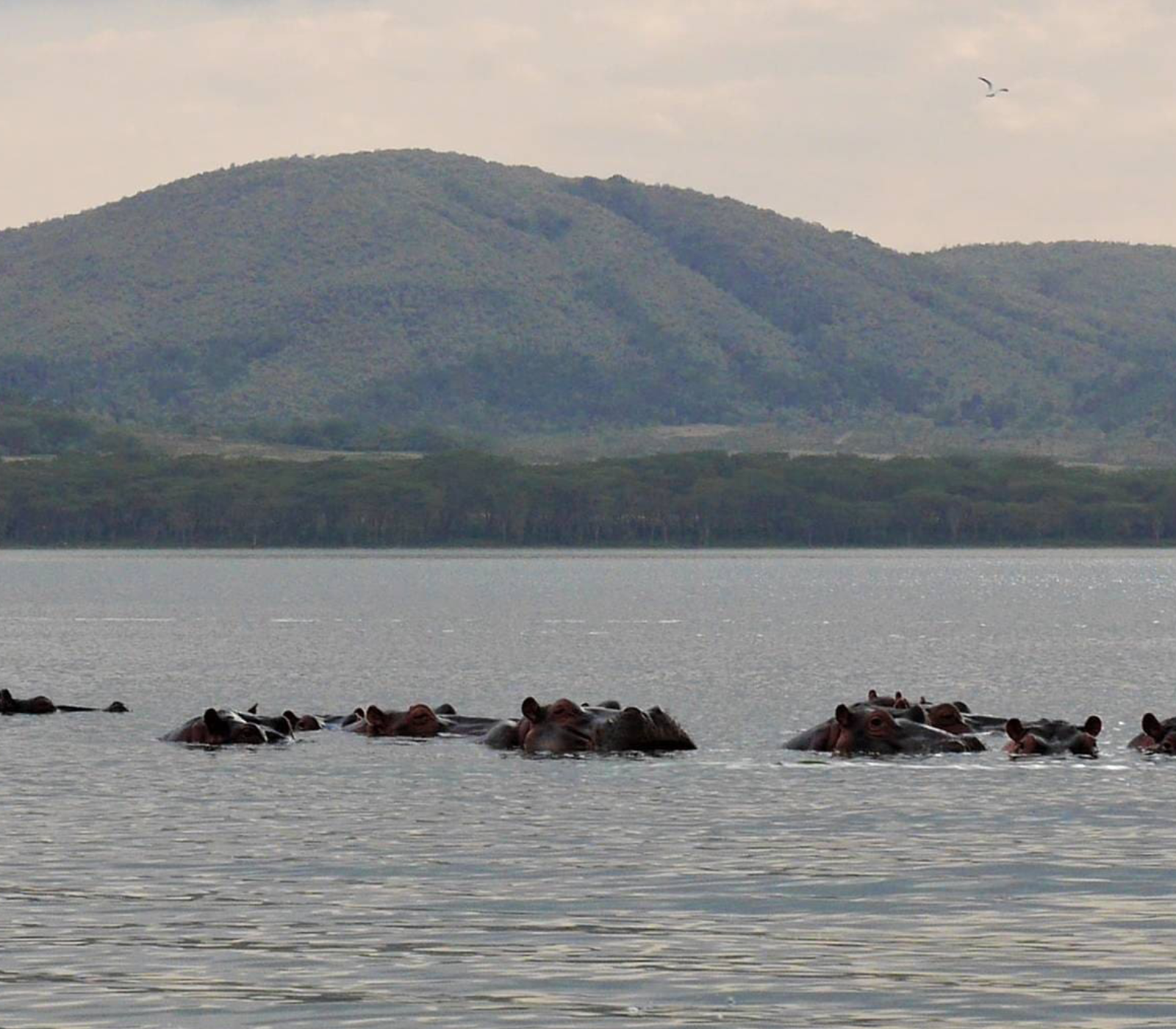 9-Days Kenya Classic Safari – Roundtrip From Nairobi Attractions