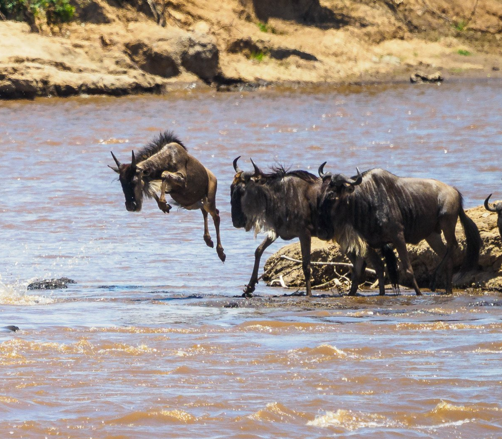 9-Days Kenya Classic Safari – Roundtrip From Nairobi Attractions