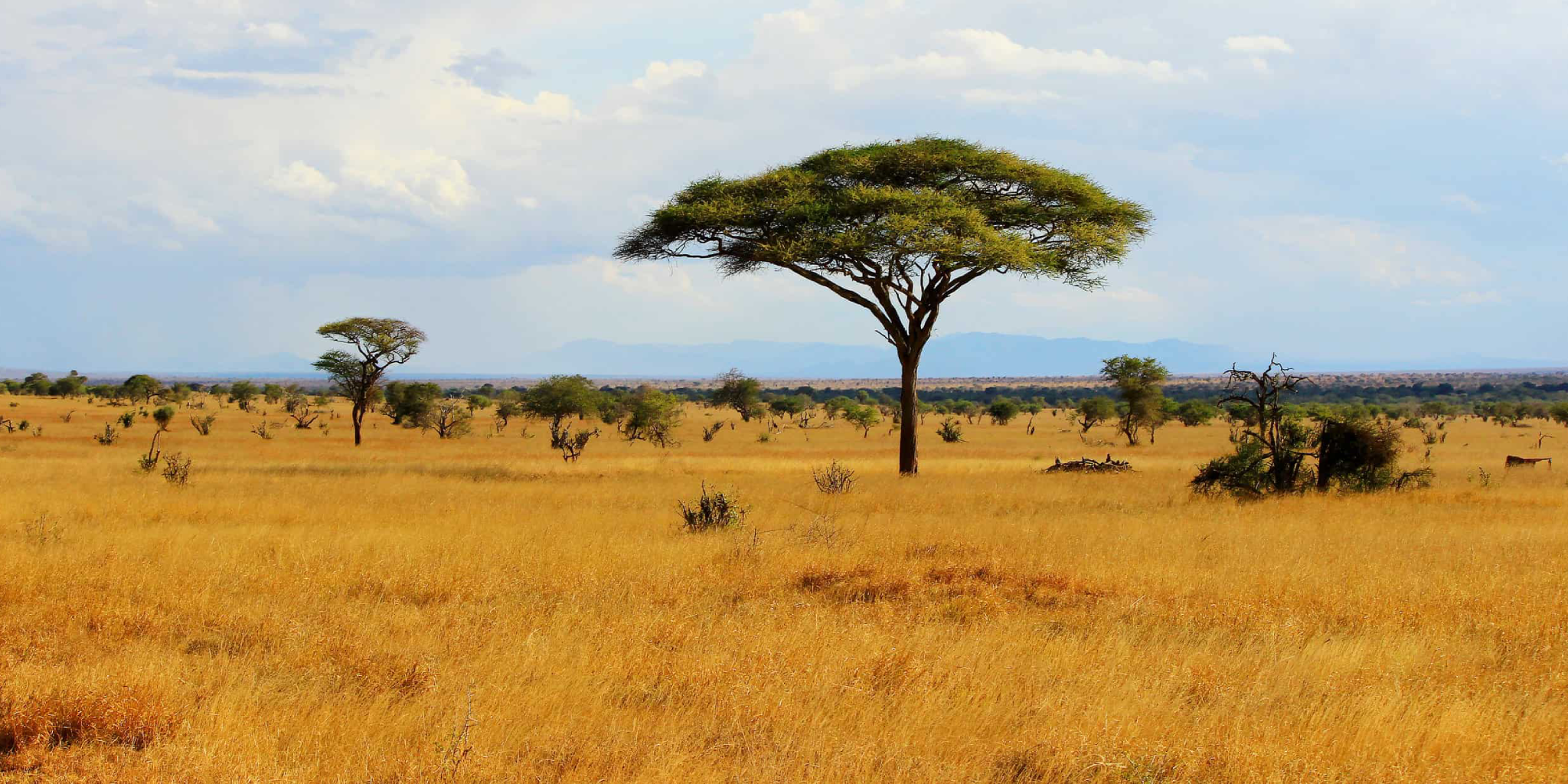 9-Days Kenya Classic Safari – Roundtrip From Nairobi