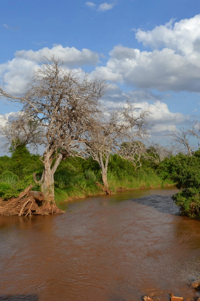 9 Days Kenya Classic Safari