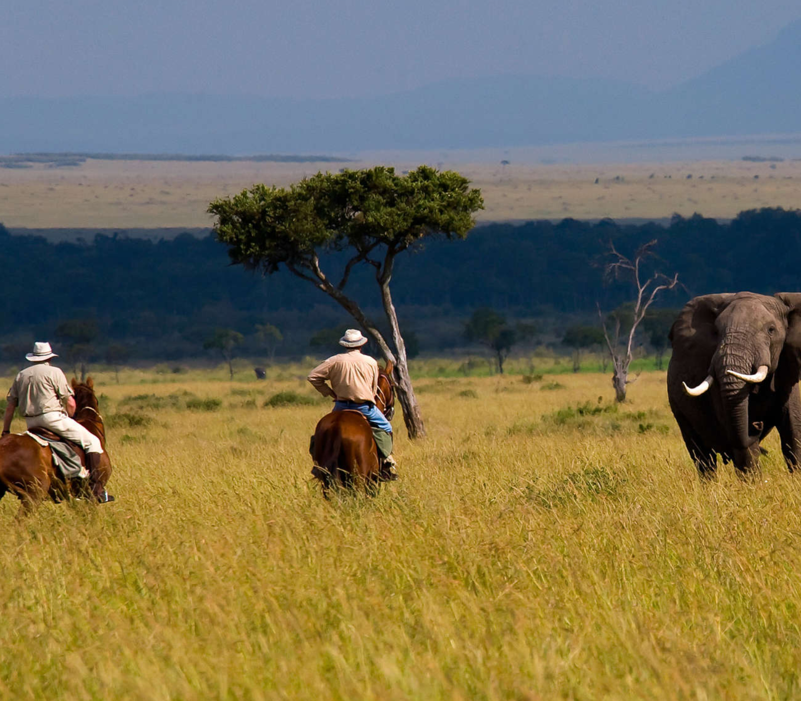 9 Days Kenya Family Safari Attractions