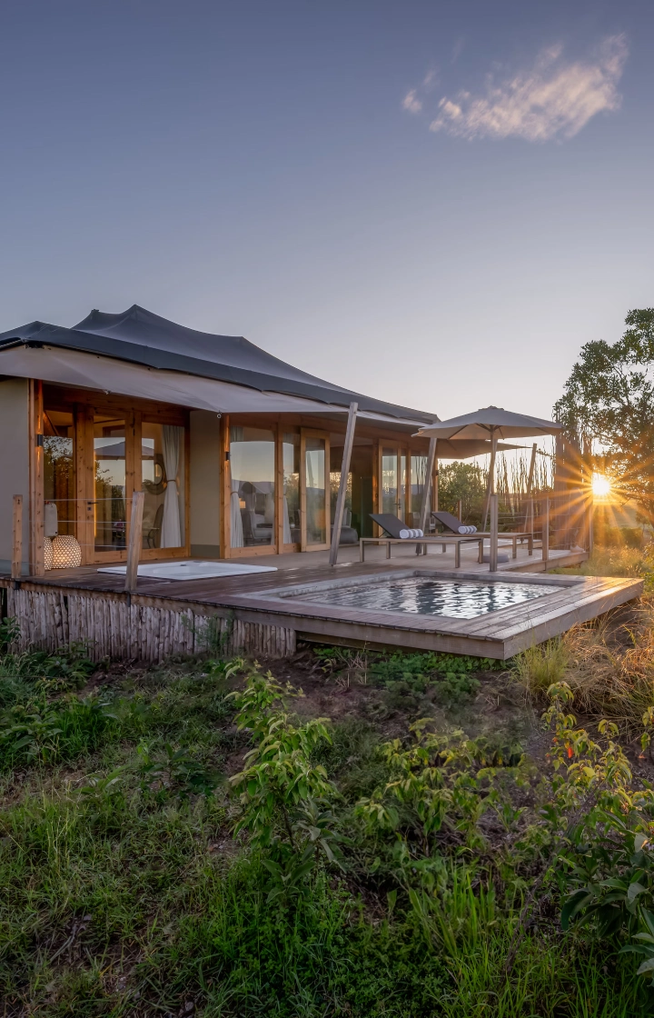 9 Days Luxury Safari in Kenya wildlife