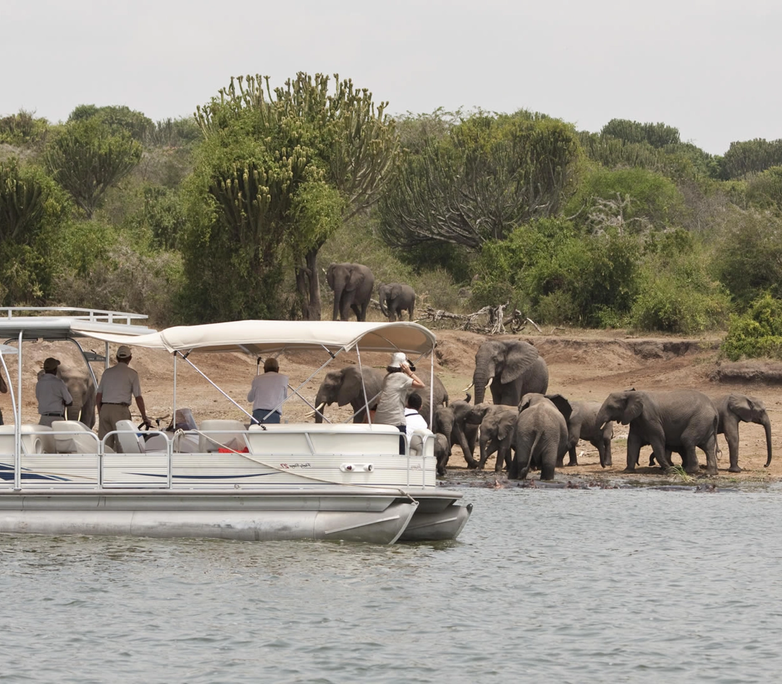 9 Days Uganda Highlights Luxury Safari Attractions