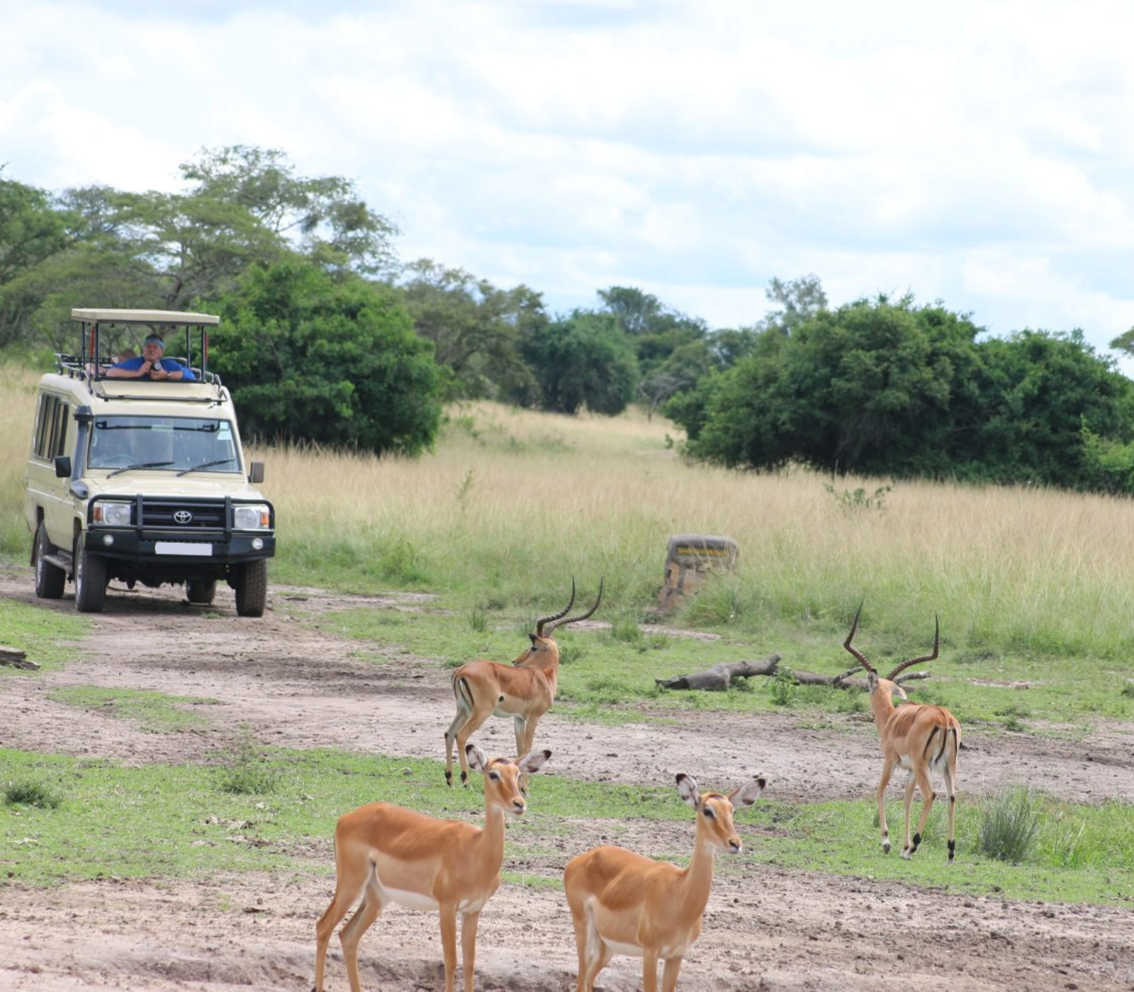 9 Days Uganda Highlights Luxury Safari Attractions