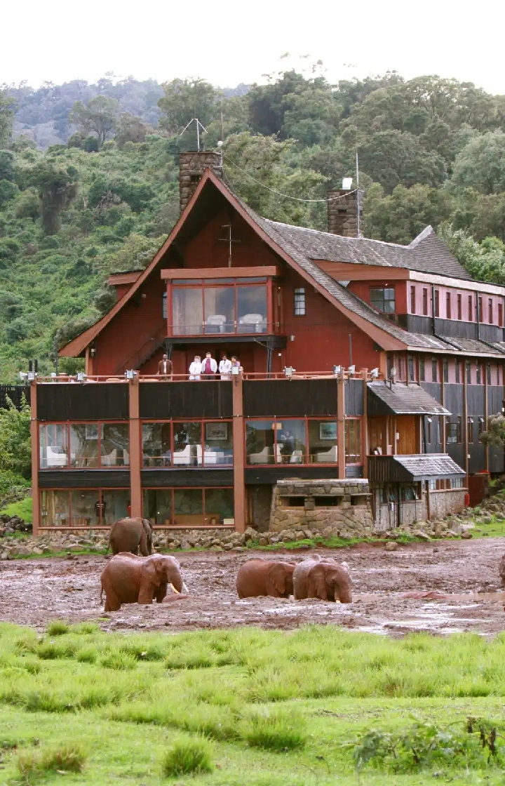 Aberdare National Park Historical Lodge Experience