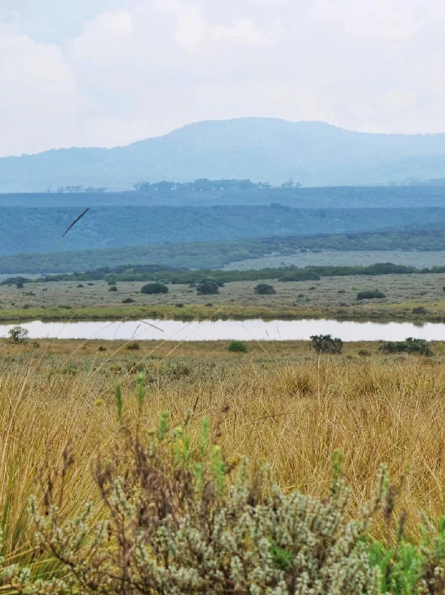 Aberdare National Park dry season