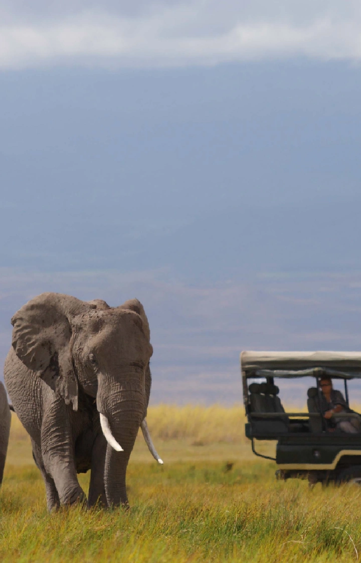 Aberdare National Park Game Drives
