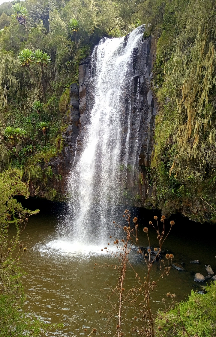 Aberdare National Park Waterfall Viewing