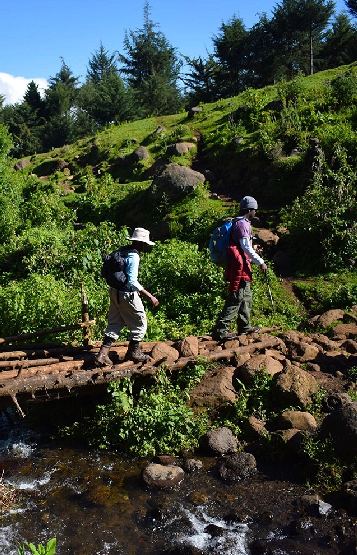 Aberdare National Park Nature Walks and Forest Hikes