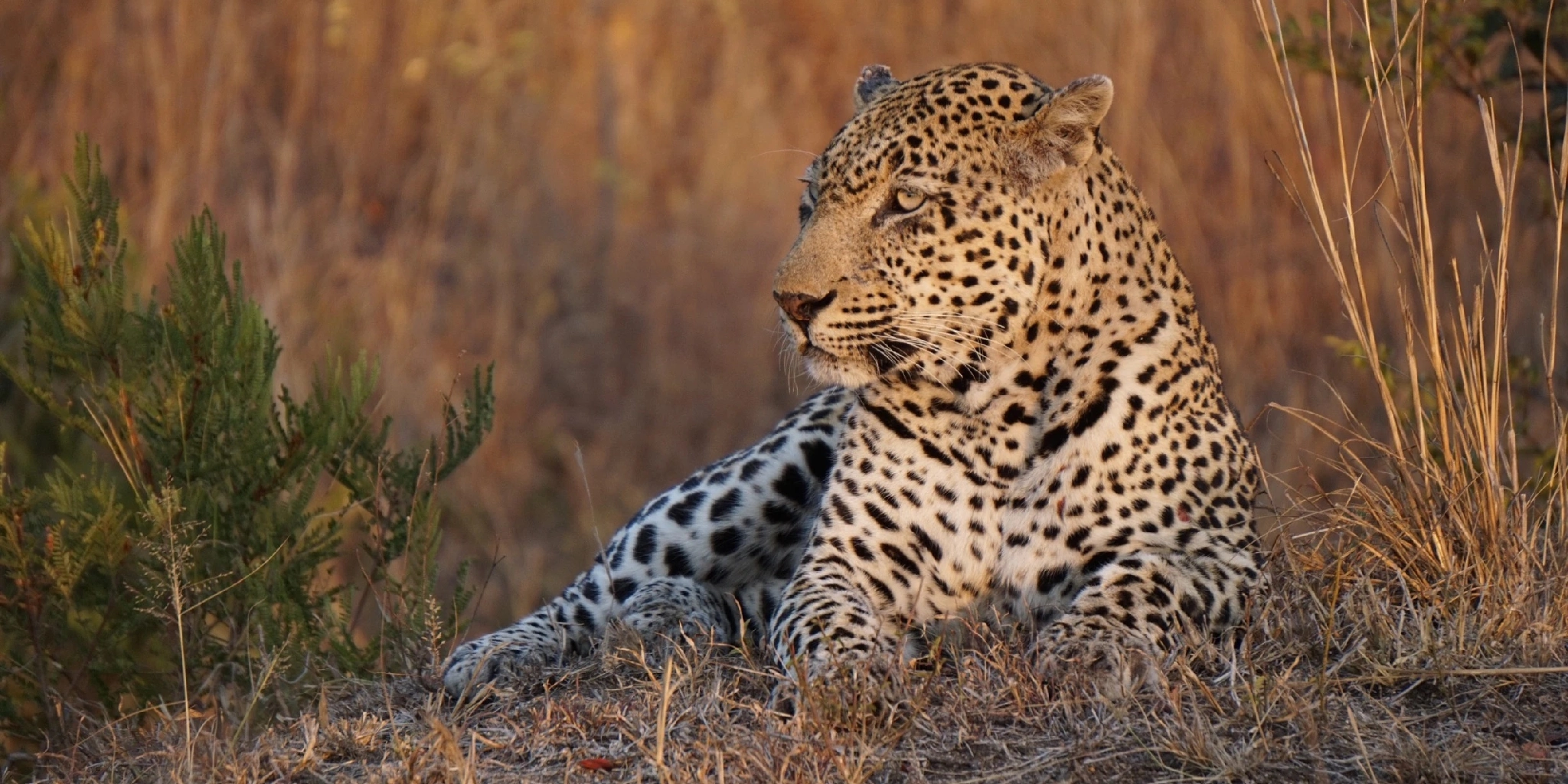  Aberdare National Park