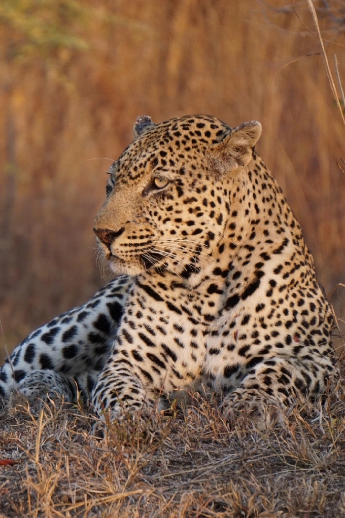 Kenya Destinations Aberdare National Park