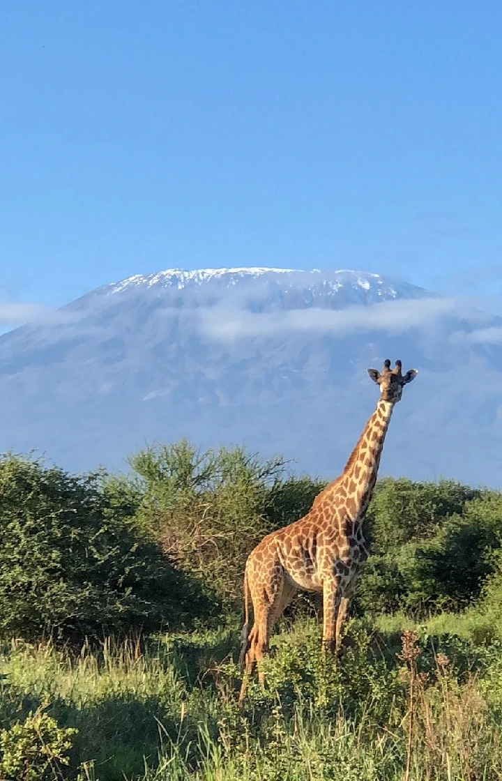 Amboseli National Park Guided Nature Walks