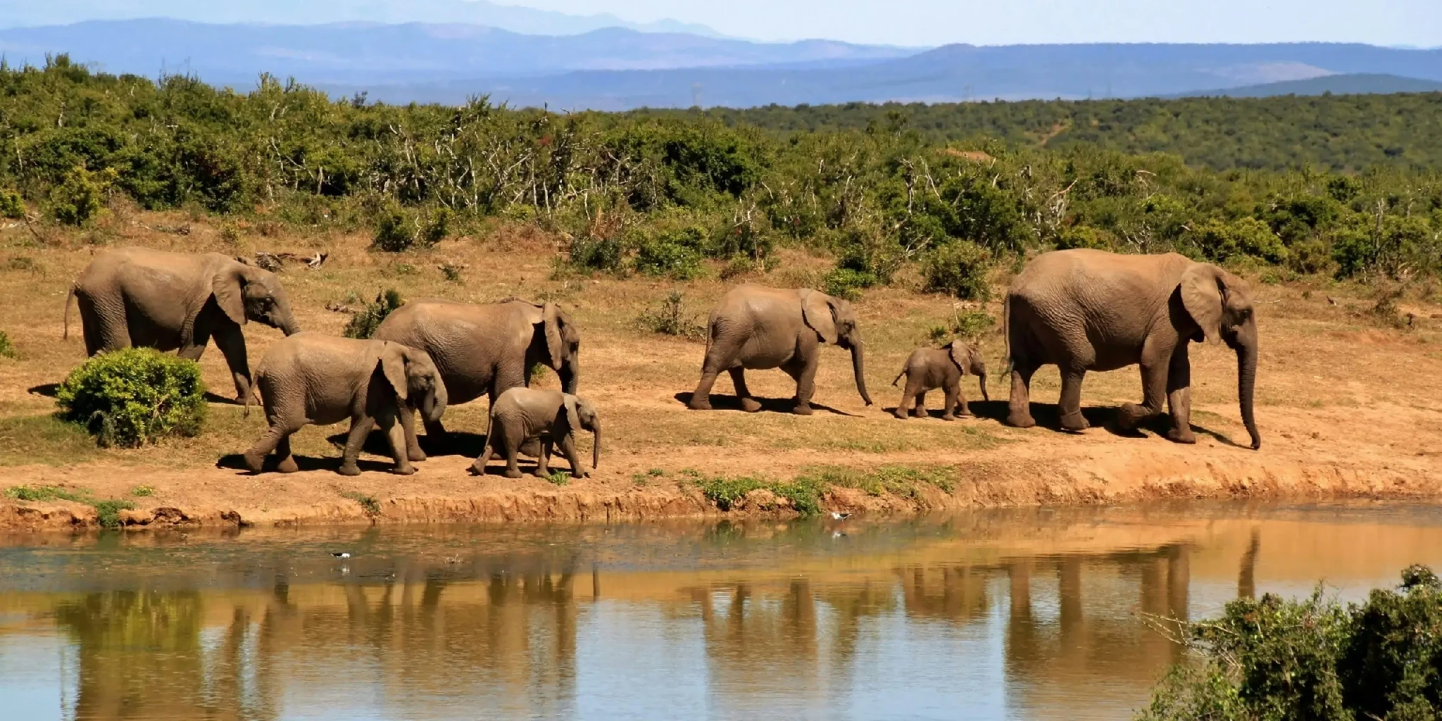 Amboseli National Park