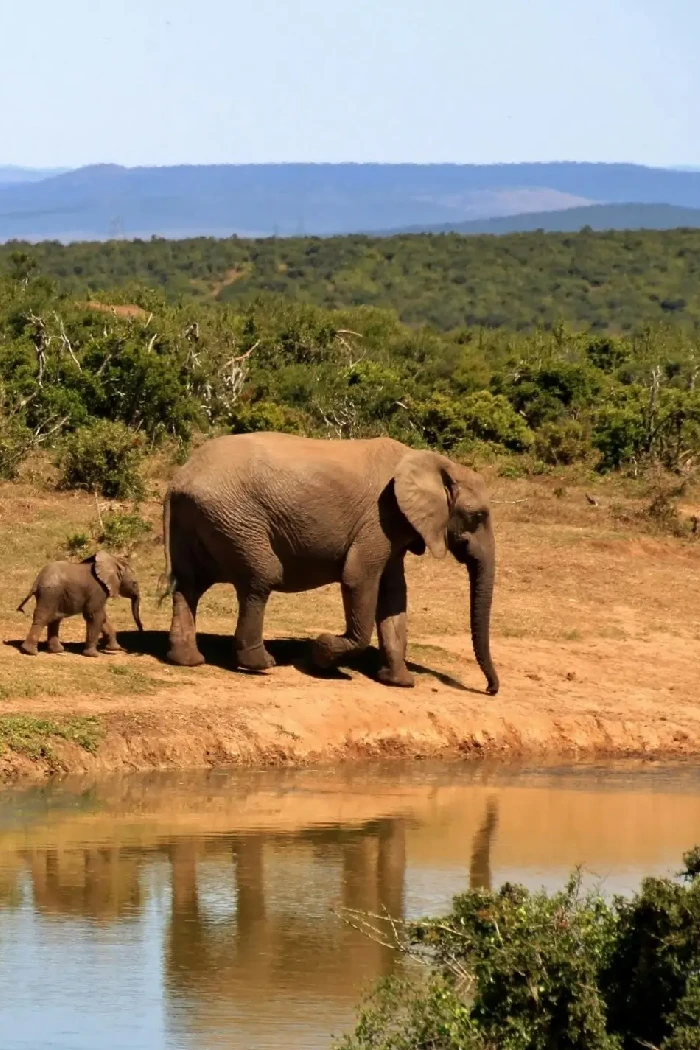 Kenya Destinations Amboseli National Park